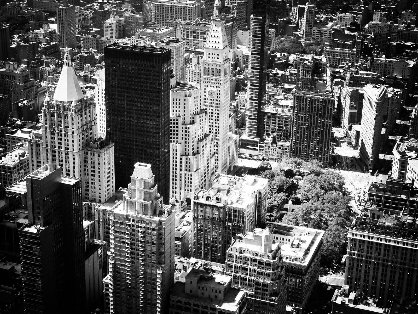 NY